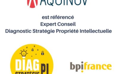 DIAGNOSTOC STRATEGIE Propriété intellectuelle  AVEC BPI FRANCE